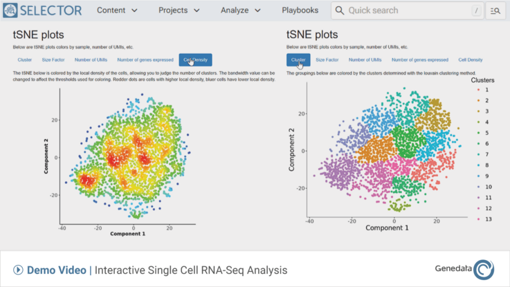 Learn in 3 minutes how to characterize your cell line with single cell RNA sequencing